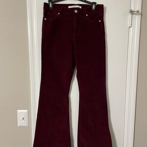 Celebrity Pink Maroon Corduroy Pants